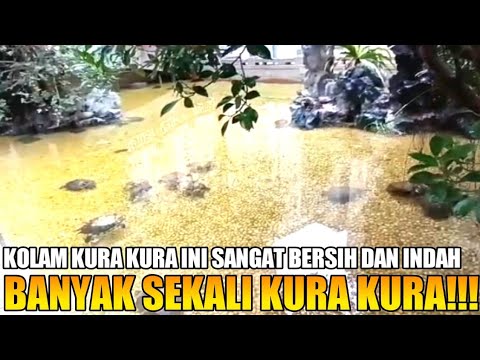 disini banyak kura kura, bisa nyantai DITAMAN HONGKONG @cendoldawetvlog