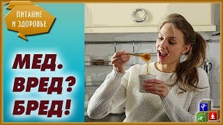 Польза и вред меда. Мифы и реальность о пользе меда. Можно ли есть много меда?