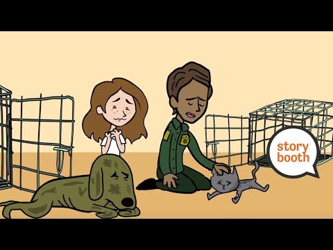 I Found Abused Animals and Rescued Them