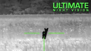ATN ThOR 640 2.25X - Thermal Night Hunt - 2 Coyotes