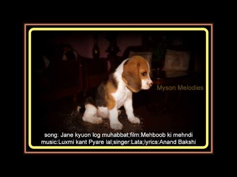 jane kyuon log muhabbat kiya karte hain - Film - Mehboob ki...