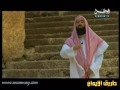 قصة سليمان عليه السلام - الجزء الأول