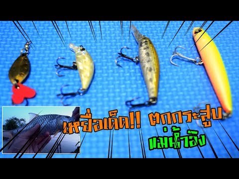 เหยื่อเด็ด!! ราคาถูกๆ ตกปลากระสูบน้ำไหล กระสูบยามเย็นแม่น้ำอิง