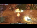 Silkroad Game - NET2E Phục Sinh (máy chủ mới) - Săn Olote Party 8