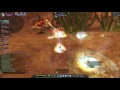 Silkroad Game - NET2E Phục Sinh (máy chủ mới) - Săn Olote Party 8