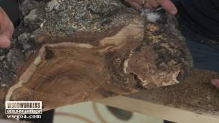Burl Wood Bowl Blanks Where Do You Start?