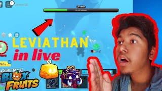 Test Live Please Roblox Bloxfrui