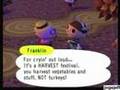 Animal Crossing
