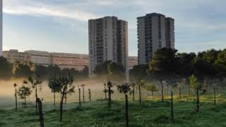 Nebbia, Taranto