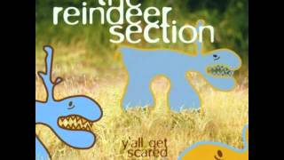 Watch Reindeer Section Sting video