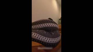Big Booty Indian Farts
