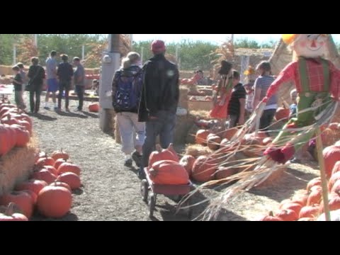 California Man Gets 13 Years For Halloween Hit-and-Run - Worldnews.com