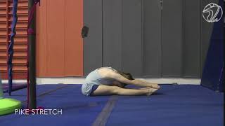 Pike Stretch (Testing skill)