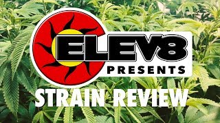 Strain Review: Strawberry Shortcake - ELEV8 Presents
