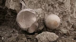 Hallazgo de 14 mamuts en Tultepec, Estado de México