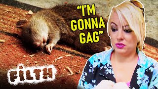 Cleaner Finds Dead Rat In Home Obsessive Compulsive Cleaners Episode 25 Filth