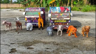 Duo Truck Racing Mencari Hewan Macan, Koala, Jerapah, Badak, Singa, Kadal, Zebra