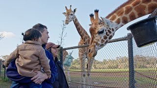 We Stayed The Night At Werribee Zoo
