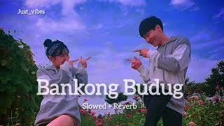Bankong Budug Song Slowed Reverb Lofi Song