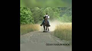 Yol Kars In Yoludur