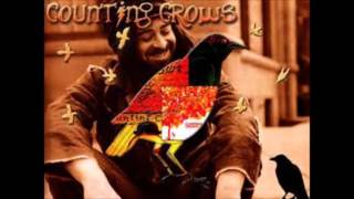 Watch Counting Crows Carmelita video