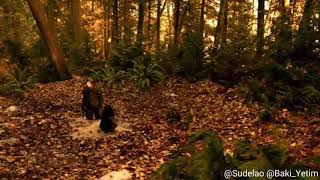 The 100 Laz Dublaj