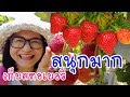 Ranker Video