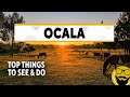 Top Things to See & Do in Ocala, Florida