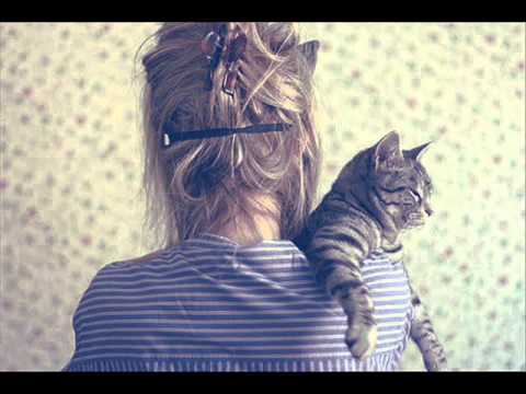 คนรักสัตว์.wmv thumb