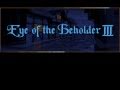 [Eye of the Beholder III: Assault on Myth Drannor - Игровой процесс]