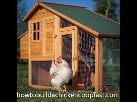 How to build a chicken coop fast - YouTube