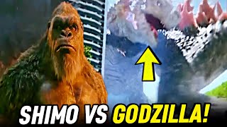 Godzilla VS Shimo Sahnesi Gösterildi! Godzilla X Kong The New Empire