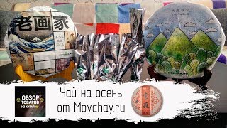 Чай На Осень От Moychay.ru