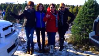 Watch Glee Cast Santa Baby video