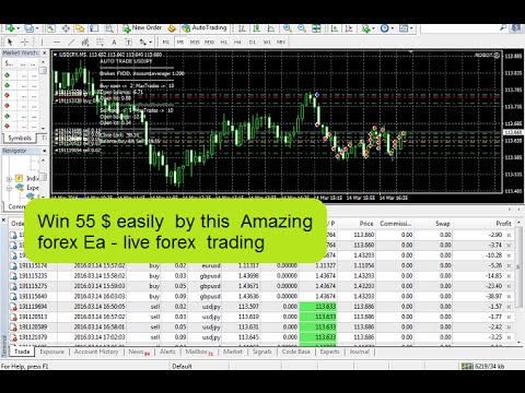 Forex Club Москва