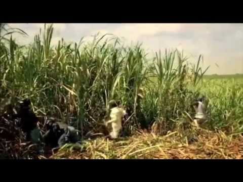 Carline Ruiz Bonjou Lafrik Kanaval 2014