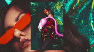 Alexandra Stan - You Used To Know (Official Audio / #Albummami 2018)