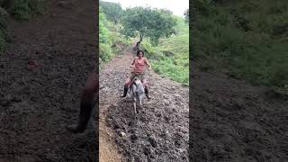 Donkey Riding