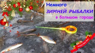 Немного зимней рыбалки в большом городе. Новогоднее настроение!