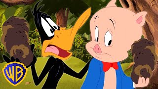 Looney Tunes Em Português 🇧🇷 | Patolino Ama As Trufas | Wb Kids