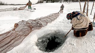 Ханты. Синеокая Даль | Жизнь Рыбака В Российской Глубинке. Традиции. Ямал. Крайний Север России