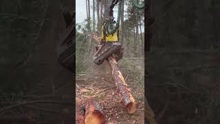 Tree Spill With The John Deere 1270G Harvester #Johndeere #Harvester #Viral #Tree #Farming #Trending