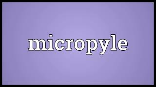 Micropyle Meaning