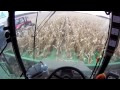 John Deere 9770 Combine with 12 Row Corn Head in cab operators view harvesting Corn Fall 2011 in HD!