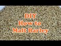 DIY How to malt Barley