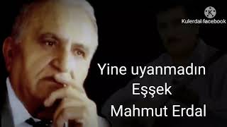 Yi̇ne Uyanmadin Eşşek Mahmut Erdal
