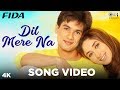 Dil Mere Naa Song Video- Fida | Shahid Kapoor, Kareena Kapoor | Udit Narayan, Alka Yagnik| Anu Malik