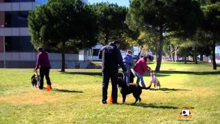 El juego de la silla
