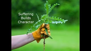 Suffering Builds Character | Crossroads Church of Greeley | Pastor Reid Olson | Sept.1, 2019