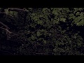 Lucrecia Dalt - "Inframince" [official video]